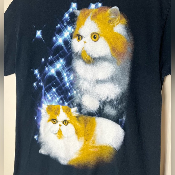 Persian smooshed face big eye cats graphic T-shirt - Picture 2 of 6